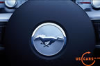 2010_mustang_detail_b2.jpg (114kb)
