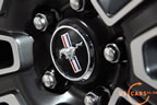 2010_mustang_detail_e5.jpg (94kb)