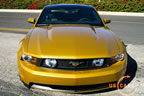 2010_mustang_gold_a.jpg (206kb)