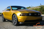 2010_mustang_gold_b.jpg (168kb)