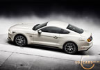 mustang_50_years_a4.jpg (145kb)