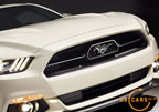 mustang_50_years_a9.jpg (137kb)