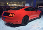15_mustang_detroit_f2.jpg (195kb)