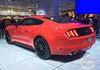15_mustang_detroit_f7.jpg (190kb)