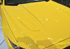 15_mustang_detroit_i2.jpg (107kb)