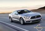 2015_mustang_ingot_a2.jpg (107kb)