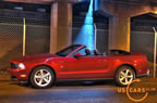 2010_mustang_ny_c3.jpg (422kb)