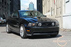 2010_mustang_ny_d2.jpg (227kb)
