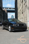 2010_mustang_ny_d4.jpg (247kb)