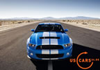 shelby_gt500_d3.jpg (176kb)
